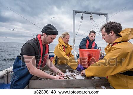 Stock Photo - Research scientists measuring fish on research ship. Fotosearch