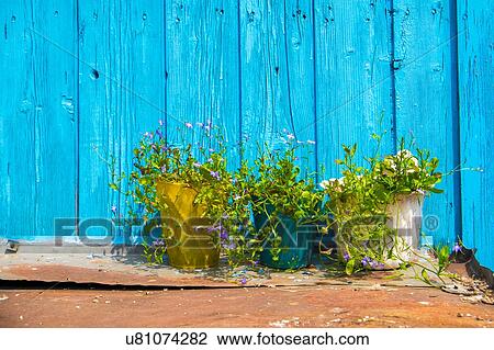 Row of three plant pots in front of turquoise painted hut View Large Photo Image Stock Image - Row of three plant pots in front of turquoise painted hut. Fotosearch