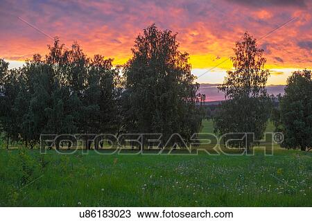 Stock Image - Rural scene, at sunset, Sarsy, Sverdlovsk region, Russia. Fotosearch