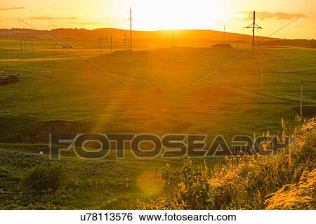 Silhouetted telegraph poles in hilly fields at sunset View Large Photo Image Stock Photograph - Silhouetted telegraph poles in hilly fields at sunset. Fotosearch