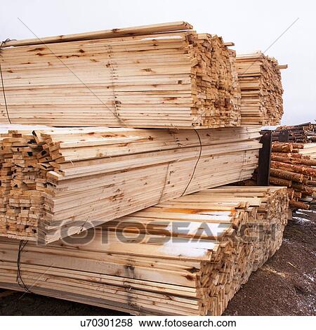 Stacks of timber and tree trunks in timber yard View Large Photo Image Stock Photo - Stacks of timber and tree trunks in timber yard. Fotosearch