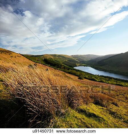 Stock Image - Talybont Reservoir and Glyn Collwn Valley, Brecon Beacons National Park, Wales, UK. Fotosearch