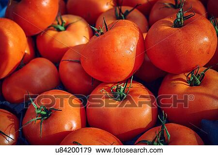 Stock Photo - Tomatoes, full frame, close-up. Fotosearch