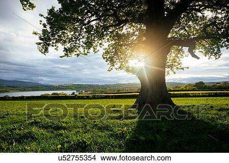 Usk Valley in afternoon, Brecon Beacons, Powys, Wales, UK View Large Photo Image Picture - Usk Valley in afternoon, Brecon Beacons, Powys, Wales, UK. Fotosearch