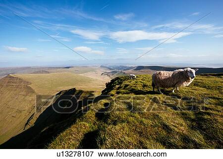 View from Pen y Fan, Brecon Beacons, Powys, Wales, UK View Large Photo Image Stock Photo - View from Pen y Fan, Brecon Beacons, Powys, Wales, UK. Fotosearch
