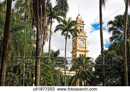 Stock Image - View of Luz railway station clock tower and palms, Sao Paulo, Brazil. Fotosearch