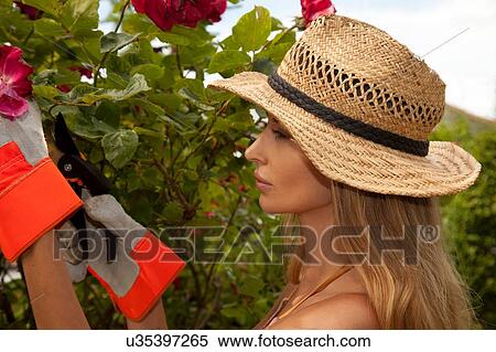 Stock Photography - Woman pruning tree in garden. Fotosearch