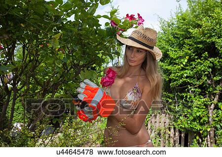 Stock Photo - Woman wearing bikini pruning tree in garden. Fotosearch