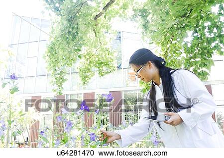 Young female scientist with digital tablet outside laboratory selecting specimen plants View Large Photo Image Stock Image - Young female scientist with digital tablet outside laboratory selecting specimen plants. Fotosearch