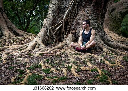 Young man sitting in park tree roots, Sao Paulo, Brazil View Large Photo Image Stock Image - Young man sitting in park tree roots, Sao Paulo, Brazil. Fotosearch