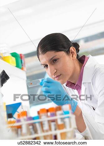 Stock Image - Young woman scientist viewing blood slide during clinical testing of medical samples in a laboratory. Fotosearch