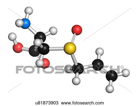 Drawing - Allicin garlic molecule. Fotosearch
