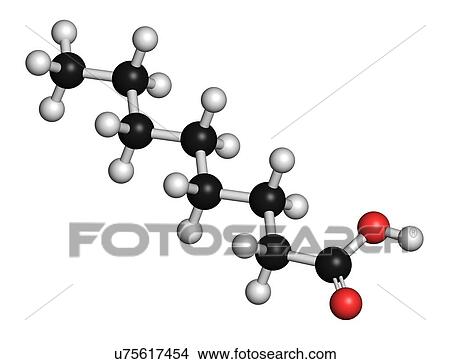 Stock Illustration - Caprylic acid molecule. Fotosearch