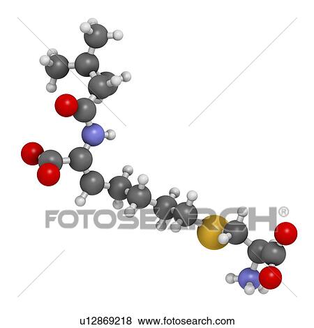 Stock Illustration - Cilastatin molecule. Fotosearch