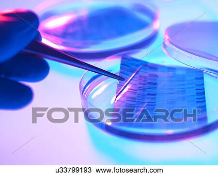 DNA Research View Large Illustration Drawing - DNA Research. Fotosearch