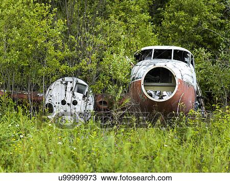 Abandoned seaplane in a forest, Lake Of The Woods, Ontario, Canada View Large Photo Image Stock Image - Abandoned seaplane in a forest, Lake Of The Woods, Ontario, Canada. Fotosearch