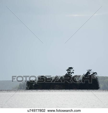 Island of trees, Lake Of The Woods, Ontario, Canada View Large Photo Image Stock Image - Island of trees, Lake Of The Woods, Ontario, Canada. Fotosearch