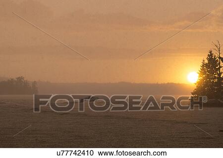Stock Image - Motorboat on the lake, Lake of the Woods, Ontario, Canada. Fotosearch