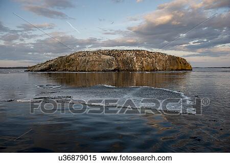 Stock Photography - Patch of Ice floating in the lake, Lake Of The Woods, Ontario, Canada. Fotosearch