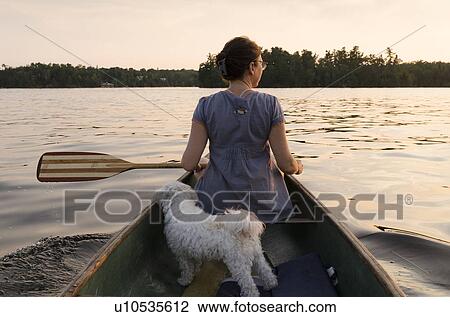 Stock Image - Rear view of a puppy with a woman in a canoe, Lake of the Woods, Ontario, Canada. Fotosearch