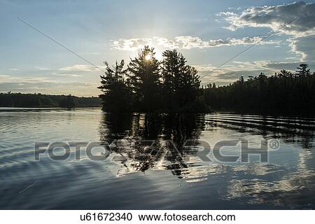 Stock Image - Reflection of trees on water at sunrise, Lake Of The Woods, Ontario, Canada. Fotosearch