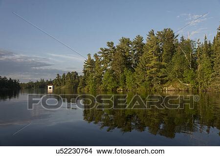 Reflection of trees on water, Lake Of The Woods, Ontario, Canada View Large Photo Image Picture - Reflection of trees on water, Lake Of The Woods, Ontario, Canada. Fotosearch