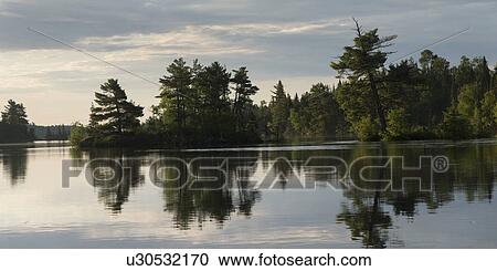 Reflection of trees on water, Lake of the Woods, Ontario, Canada View Large Photo Image Stock Image - Reflection of trees on water, Lake of the Woods, Ontario, Canada. Fotosearch