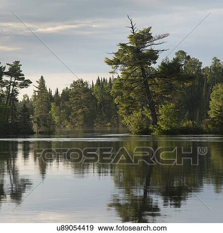Stock Photo - Reflection of trees on water, Lake Of The Woods, Ontario, Canada. Fotosearch