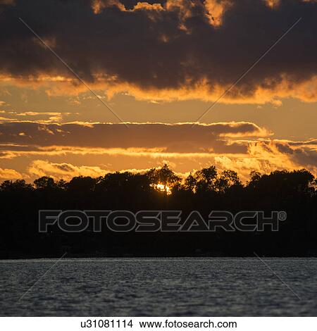 Picture - Silhouette of trees at lakeside during sunset, Lake Of The Woods, Ontario, Canada. Fotosearch