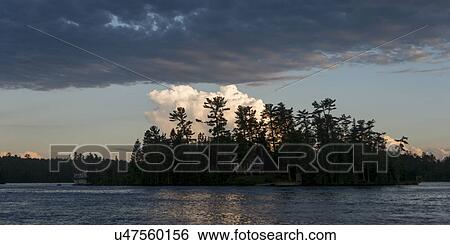 Silhouette of trees at the lakeside, Lake Of The Woods, Ontario, Canada View Large Photo Image Stock Photograph - Silhouette of trees at the lakeside, Lake Of The Woods, Ontario, Canada. Fotosearch