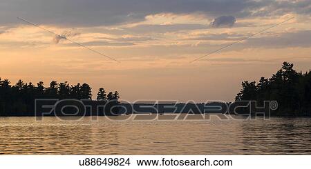 Trees at the lakeside, Lake of the Woods, Ontario, Canada View Large Photo Image Picture - Trees at the lakeside, Lake of the Woods, Ontario, Canada. Fotosearch