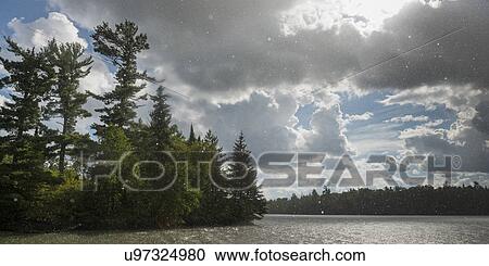 Trees at the lakeside with flakes of snow falling, Lake Of The Woods, Ontario, Canada View Large Photo Image Stock Image - Trees at the lakeside with flakes of snow falling, Lake Of The Woods, Ontario, Canada. Fotosearch