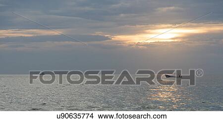 Picture - View of fishing boat on the ocean at sunset, Zihuatanejo, Guerrero, Mexico. Fotosearch
