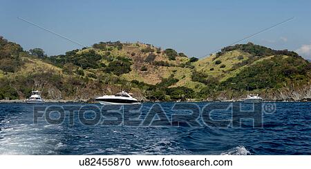 View of yachts along coast, Zihuatanejo, Guerrero, Mexico View Large Photo Image Stock Image - View of yachts along coast, Zihuatanejo, Guerrero, Mexico. Fotosearch