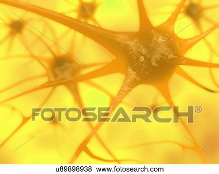 Stock Photo - 3D illustration of neurons in the brain. Fotosearch