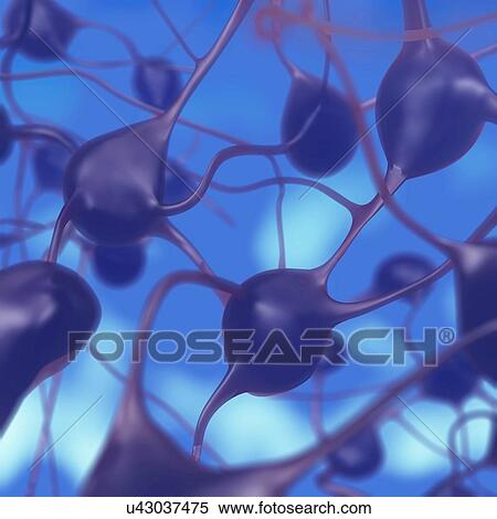 3D illustration of neurons in the brain View Large Photo Image Stock Photography - 3D illustration of neurons in the brain. Fotosearch