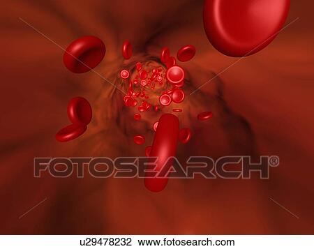 Stock Image - 3D illustration showing the red blood cell flow in a vessel. Fotosearch