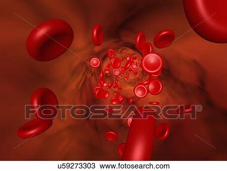 Stock Image - 3D illustration showing the red blood cell flow in a vessel. Fotosearch