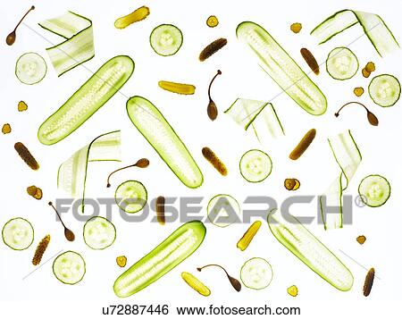 Backlit cucumbers and gherkins View Large Photo Image Stock Photograph - Backlit cucumbers and gherkins. Fotosearch