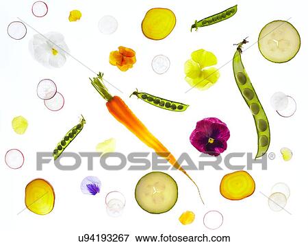 Backlit vegetables and flowers View Large Photo Image Stock Photo - Backlit vegetables and flowers. Fotosearch
