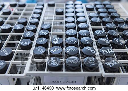"Batch samples of graphene nano material in graphene processing factory, close up" View Large Photo Image Stock Image - "Batch samples of graphene nano material in graphene processing factory, close up". Fotosearch