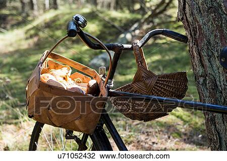 Stock Image - Bicycle with foraged mushrooms in baskets in forest. Fotosearch