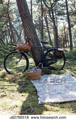 Bicycle with foraging baskets and blanket on forest floor View Large Photo Image Stock Photo - Bicycle with foraging baskets and blanket on forest floor. Fotosearch