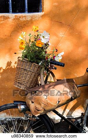 Stock Photo - Close up of bicycle leaning against cottaged wall with foraging baskets and wildflowers. Fotosearch