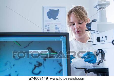 Stock Photo - Female scientist inspects graphene sample with microscope in graphene processing factory. Fotosearch