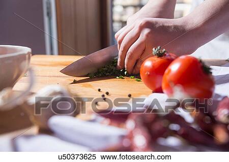 Hands of woman slicing herbs at kitchen counter View Large Photo Image Stock Photography - Hands of woman slicing herbs at kitchen counter. Fotosearch