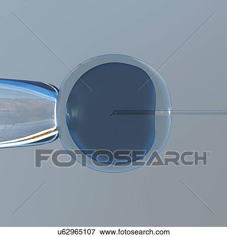 Stock Photo - In vitro fertilization. 3D illustration of an in vitro cloning assay. Fotosearch