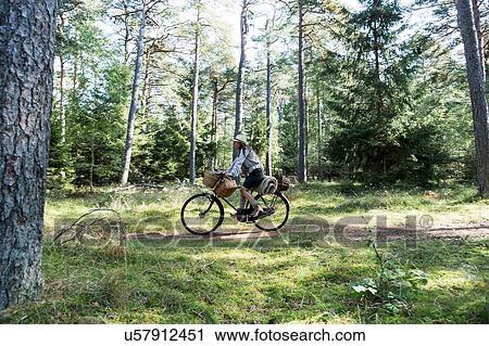 Stock Image - Mature woman cycling with foraging baskets in forest. Fotosearch