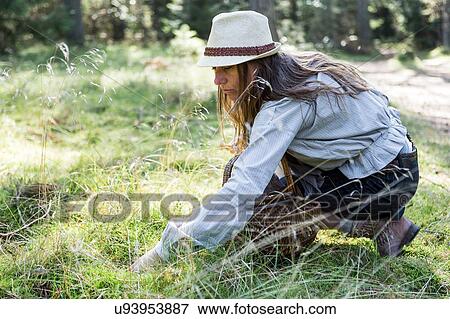 Stock Photo - Mature woman foraging for mushrooms in forest. Fotosearch