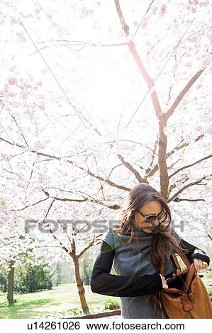 Mature woman searching through shoulder bag in front of cherry blossom View Large Photo Image Stock Photograph - Mature woman searching through shoulder bag in front of cherry blossom. Fotosearch